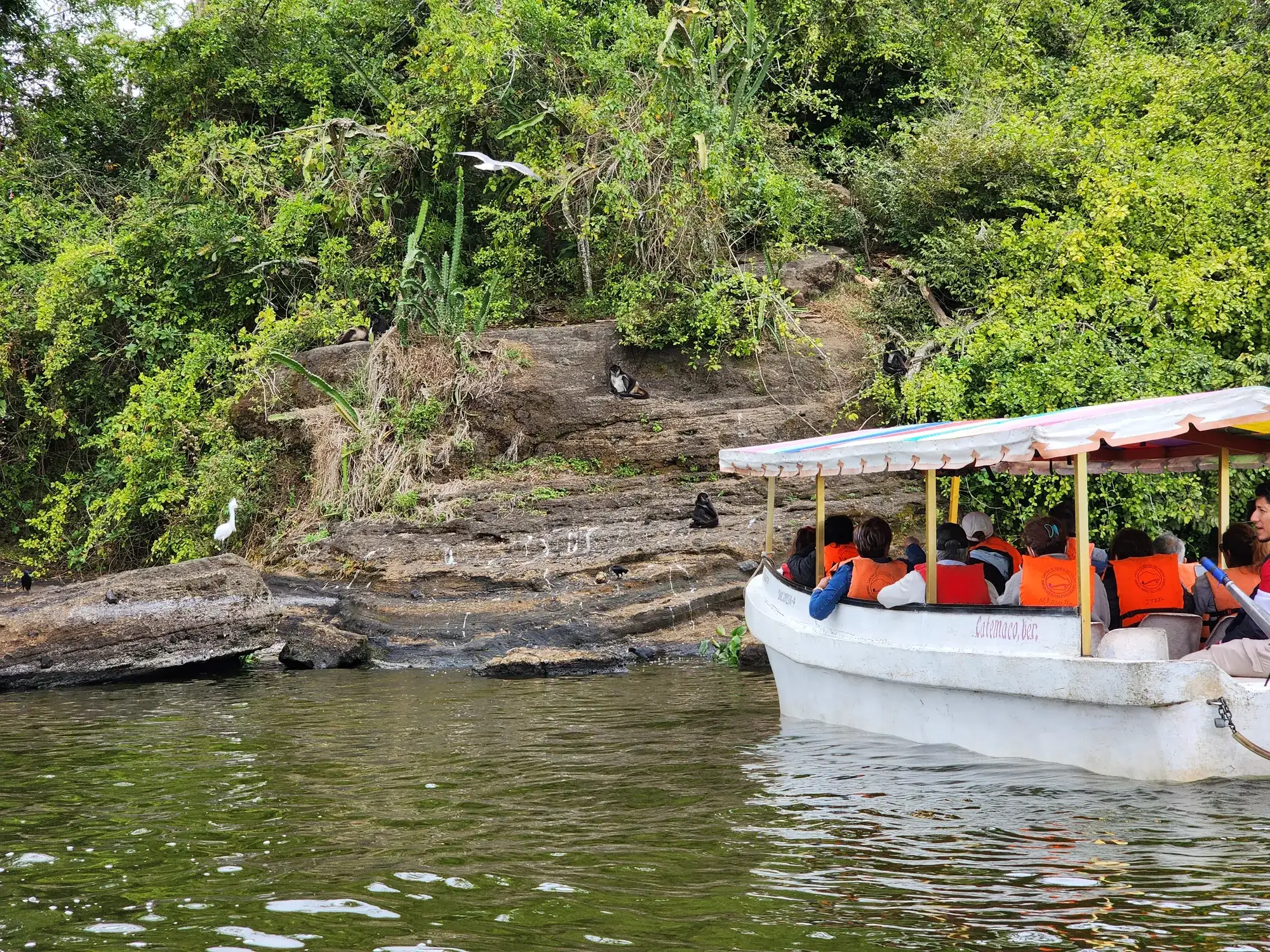 Lancha con visitantes junto a una isla del Lago de Catemaco donde anidan garzas y aves, en Los Tuxtlas, Veracruz