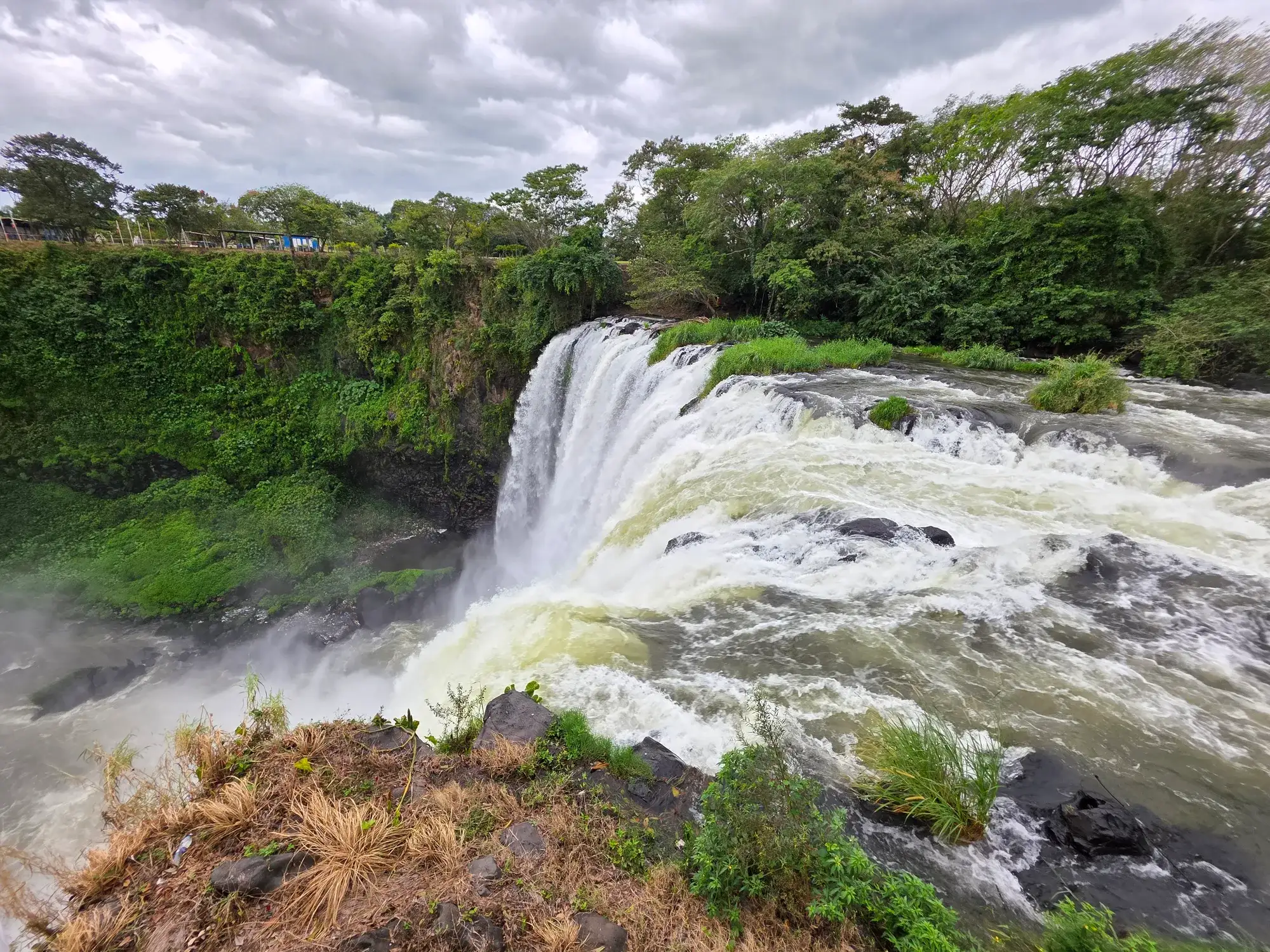Vista de frente del Salto de Eyipantla desde arriba: la cortina de agua cayendo sobre la roca, en Los Tuxtlas, Veracruz