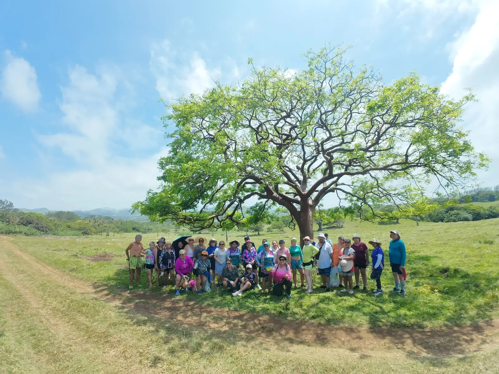 Grupo grande de aventureros de BoteTur bajo un árbol en la sierra de Los Tuxtlas