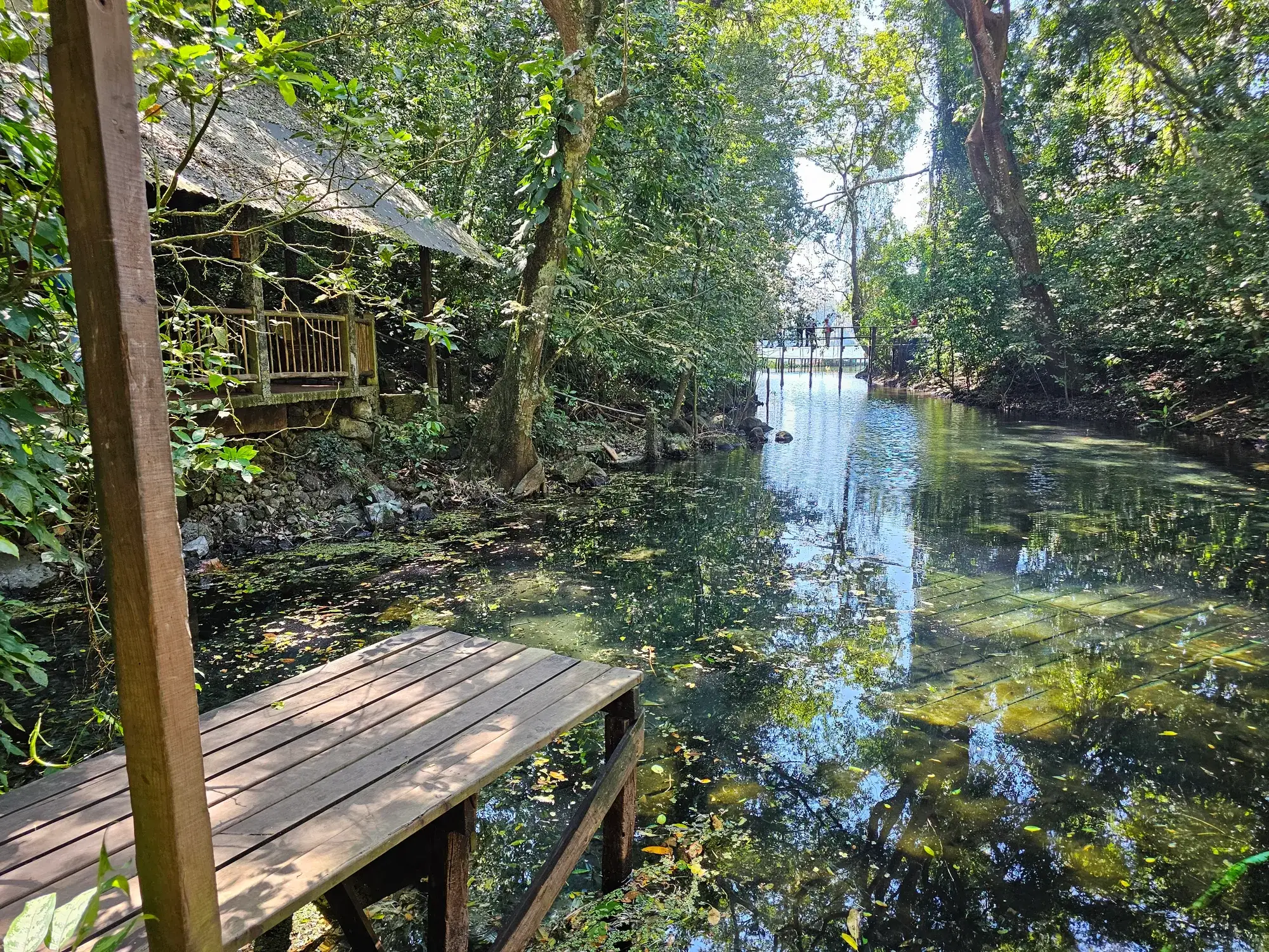 Manantial de agua clara con muelle de madera entre la selva de la reserva de Nanciyaga, a la orilla del Lago de Catemaco, Veracruz