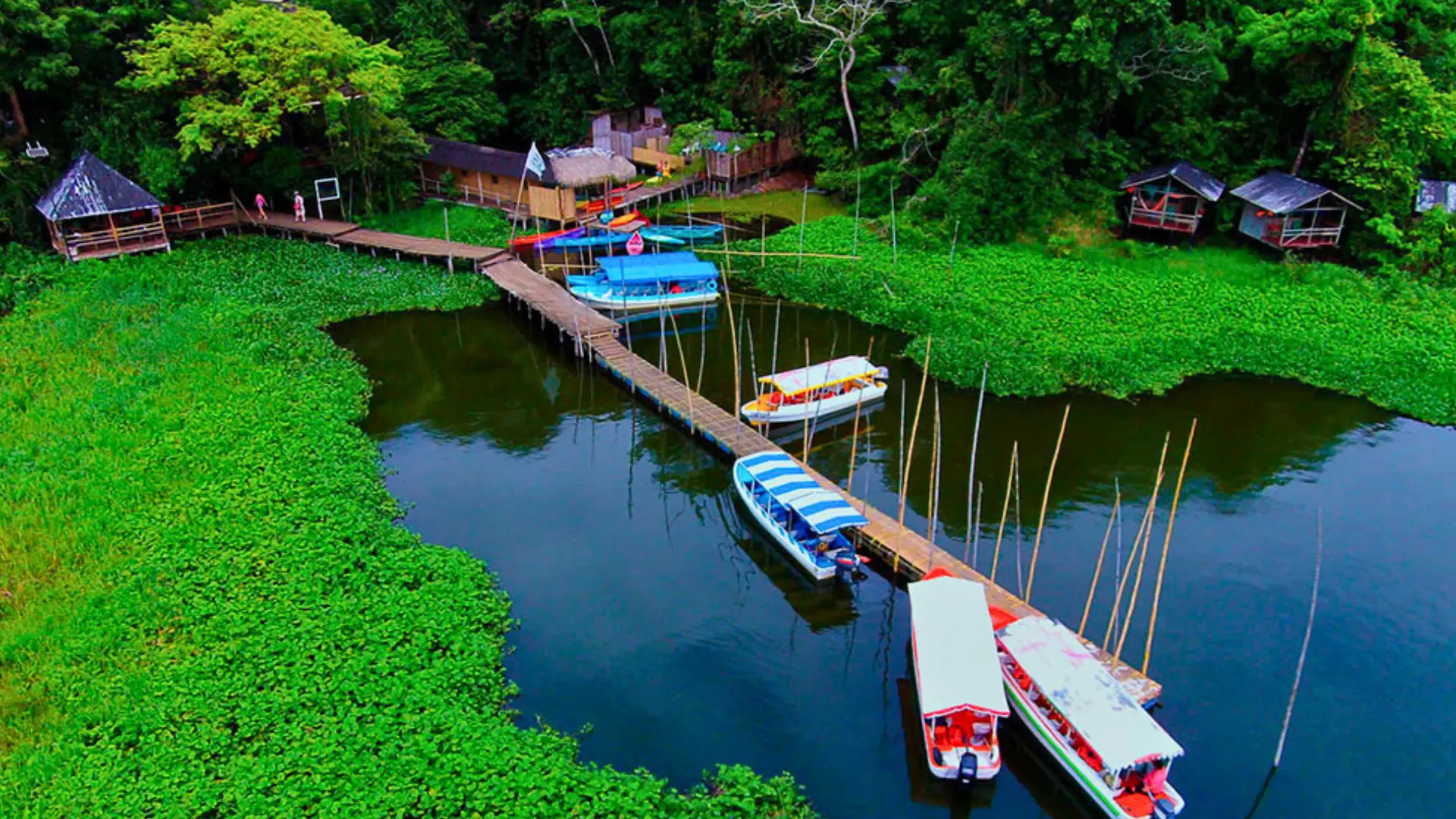 Reserva ecológica Nanciyaga: selva tropical a la orilla del Lago de Catemaco, en Los Tuxtlas, Veracruz