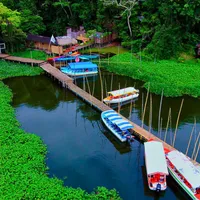 Reserva ecológica Nanciyaga: selva tropical a la orilla del Lago de Catemaco, en Los Tuxtlas, Veracruz