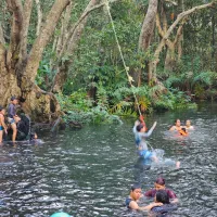 La Poza de los Enanos en Sontecomapan: niño columpiándose de una cuerda para echarse al agua cristalina, entre el manglar de Los Tuxtlas, Veracruz