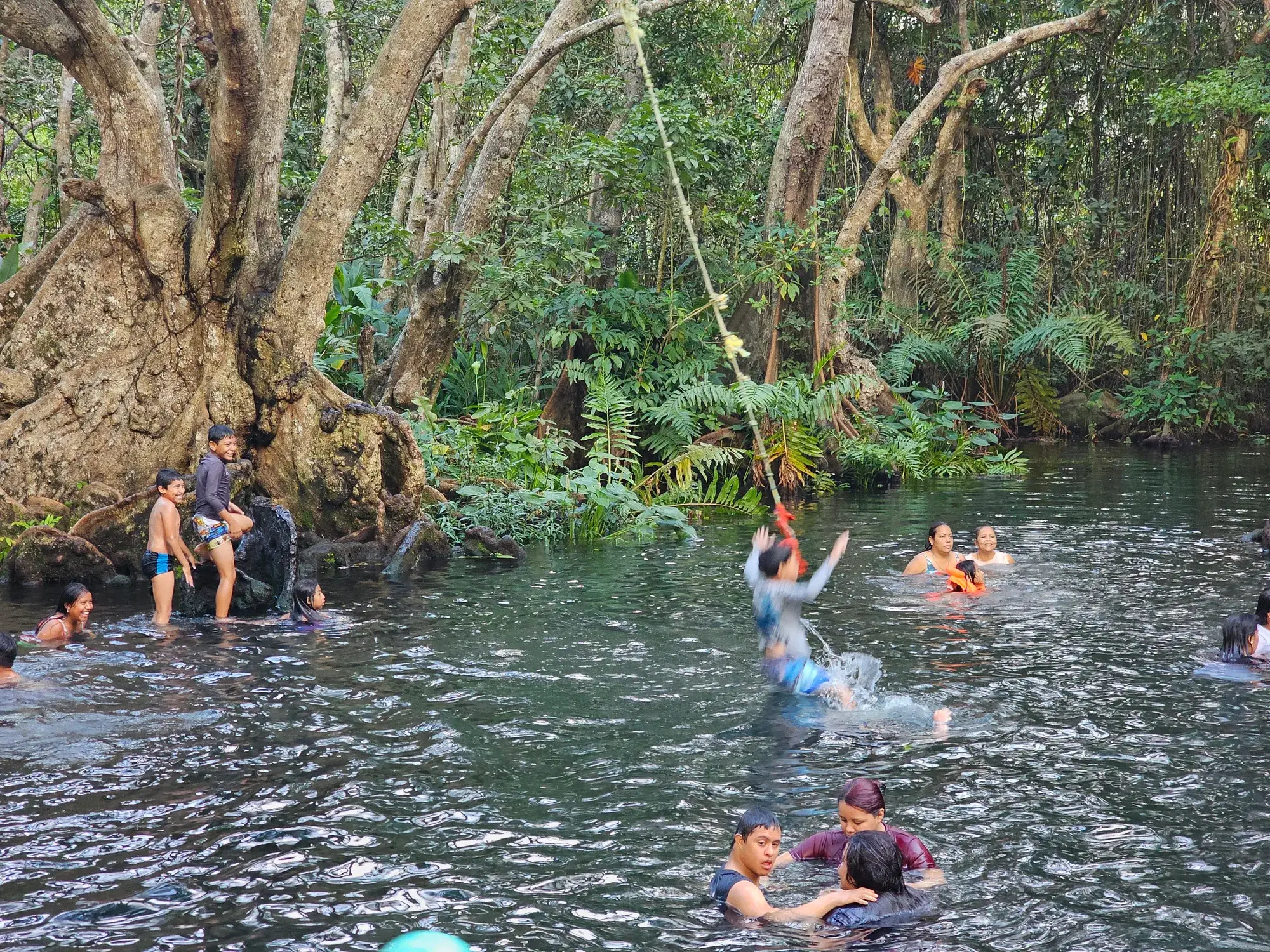 La Poza de los Enanos en Sontecomapan: niño columpiándose de una cuerda para echarse al agua cristalina, entre el manglar de Los Tuxtlas, Veracruz